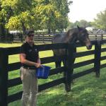 2019_OTRA_0617 (September 01, 2019)